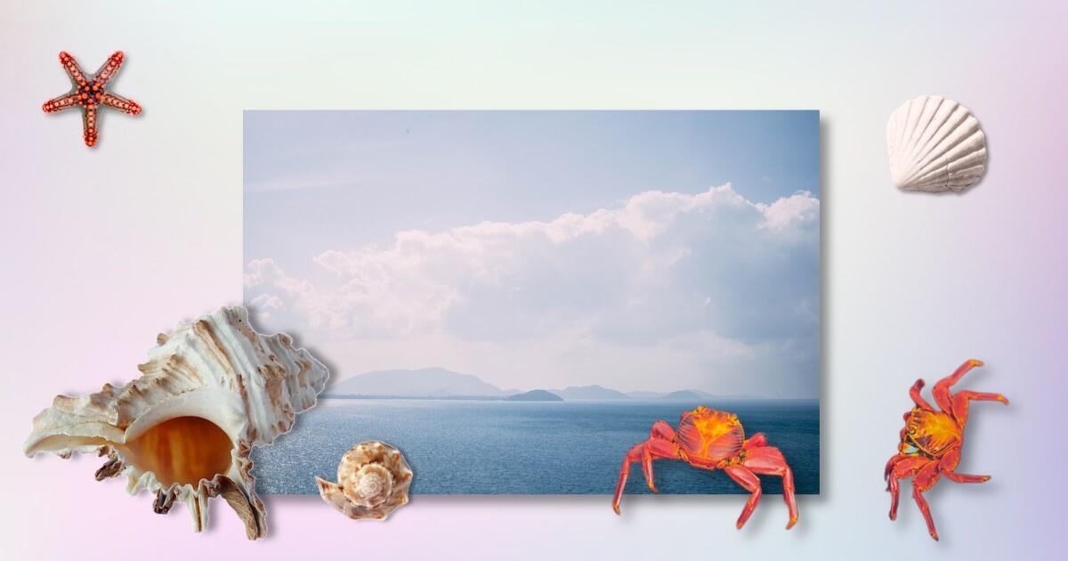 коллаж автора