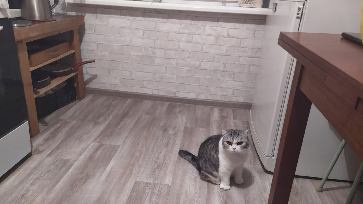 Atlanta 1  интерьере 