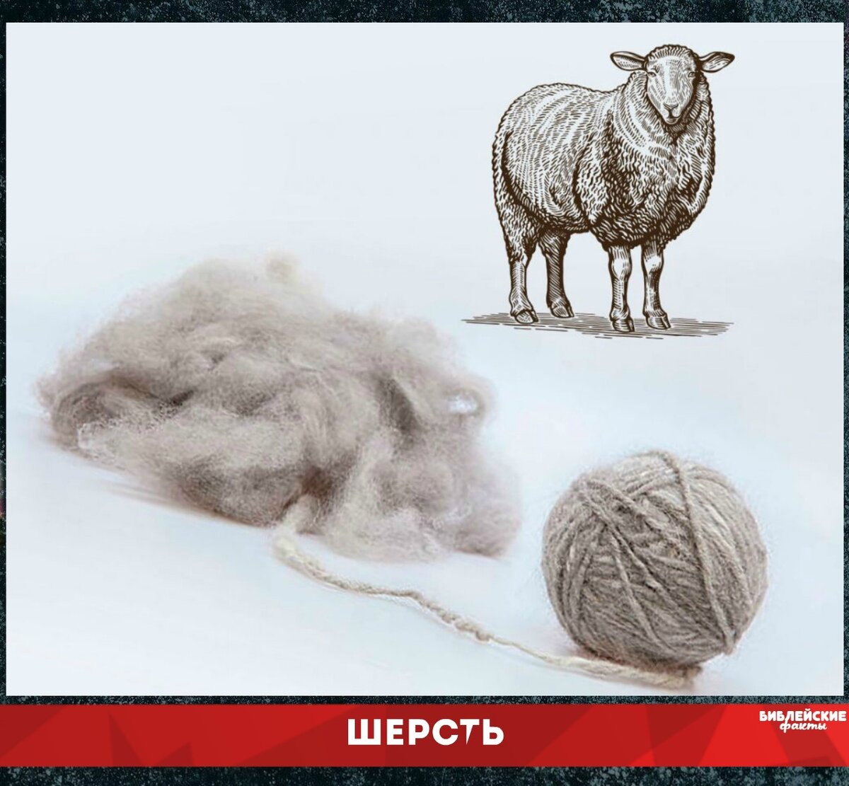 Мини-музей «Символ года-2015, или Как много можно рассказать об овечке»
