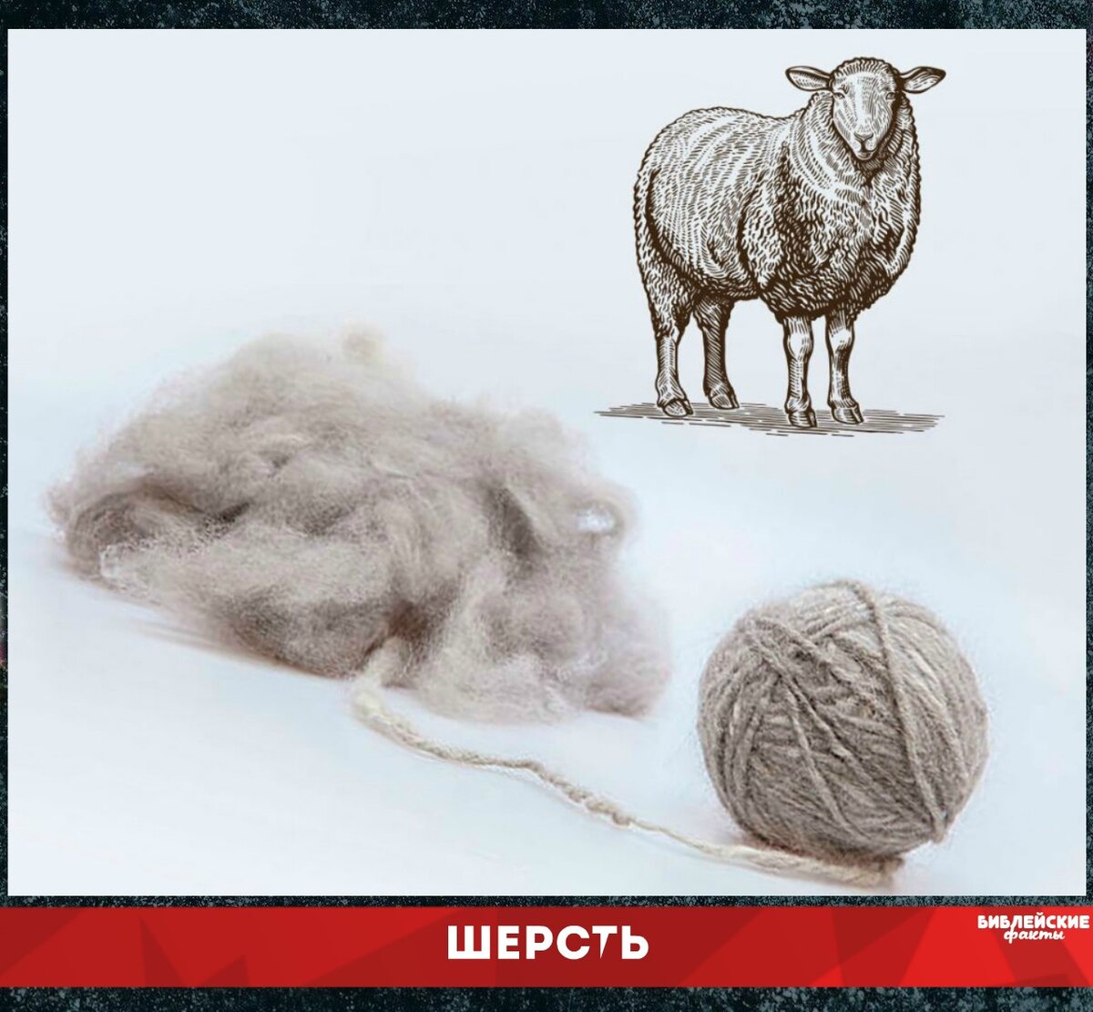 Овечья шерсть
