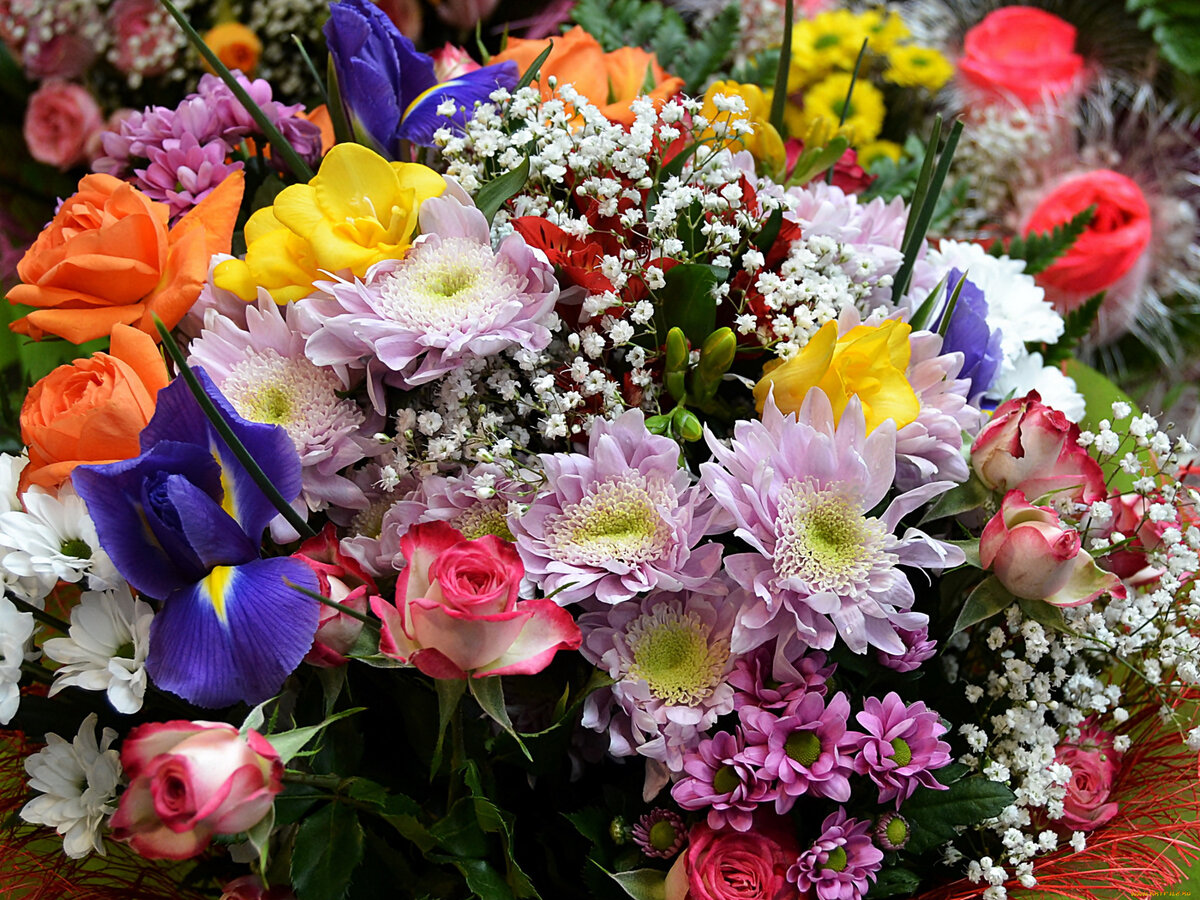 Фото из открытого источника Яндекс 