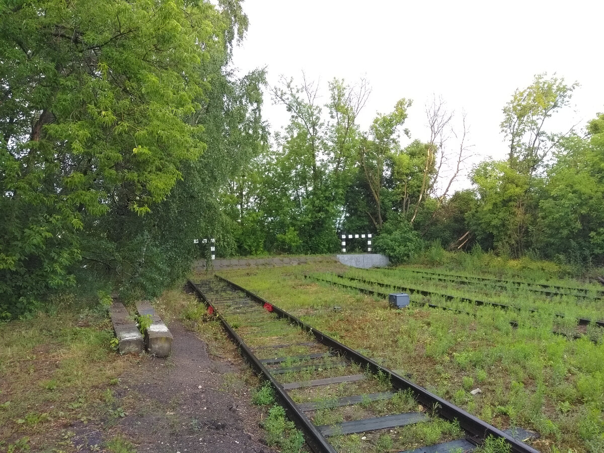 © Nikolay Omonov / Wikimedia Commons / CC BY-SA 4.0 (Тупиковая железнодорожная станция Кинешма)