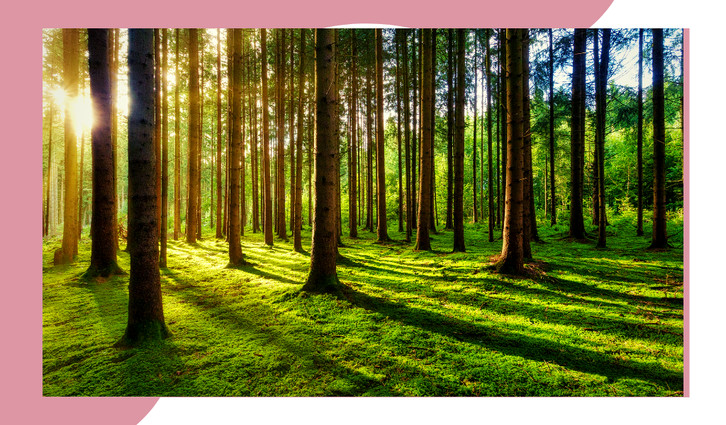 Фотография из открытых источников