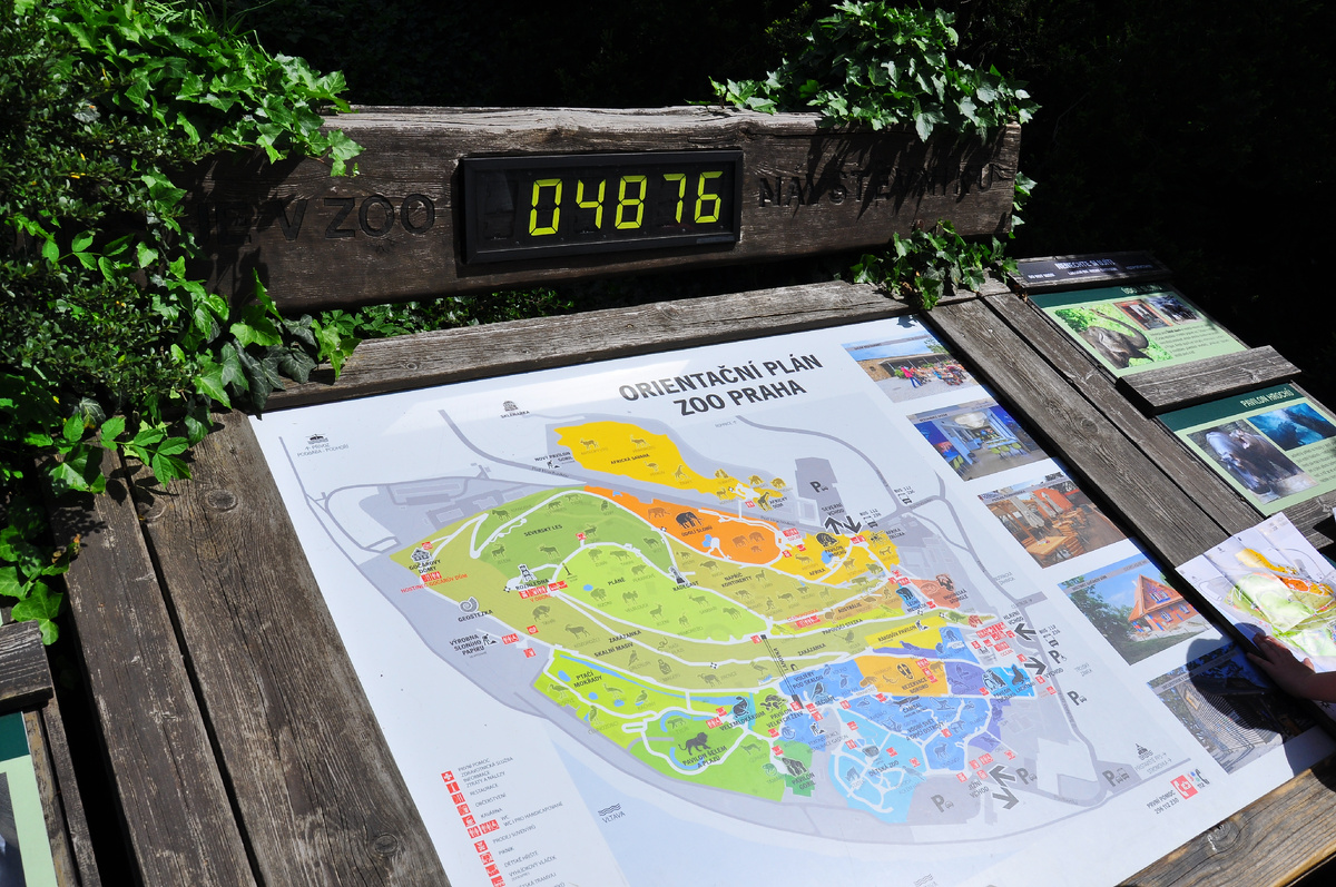 Фотография автора статьи, май 2015 года