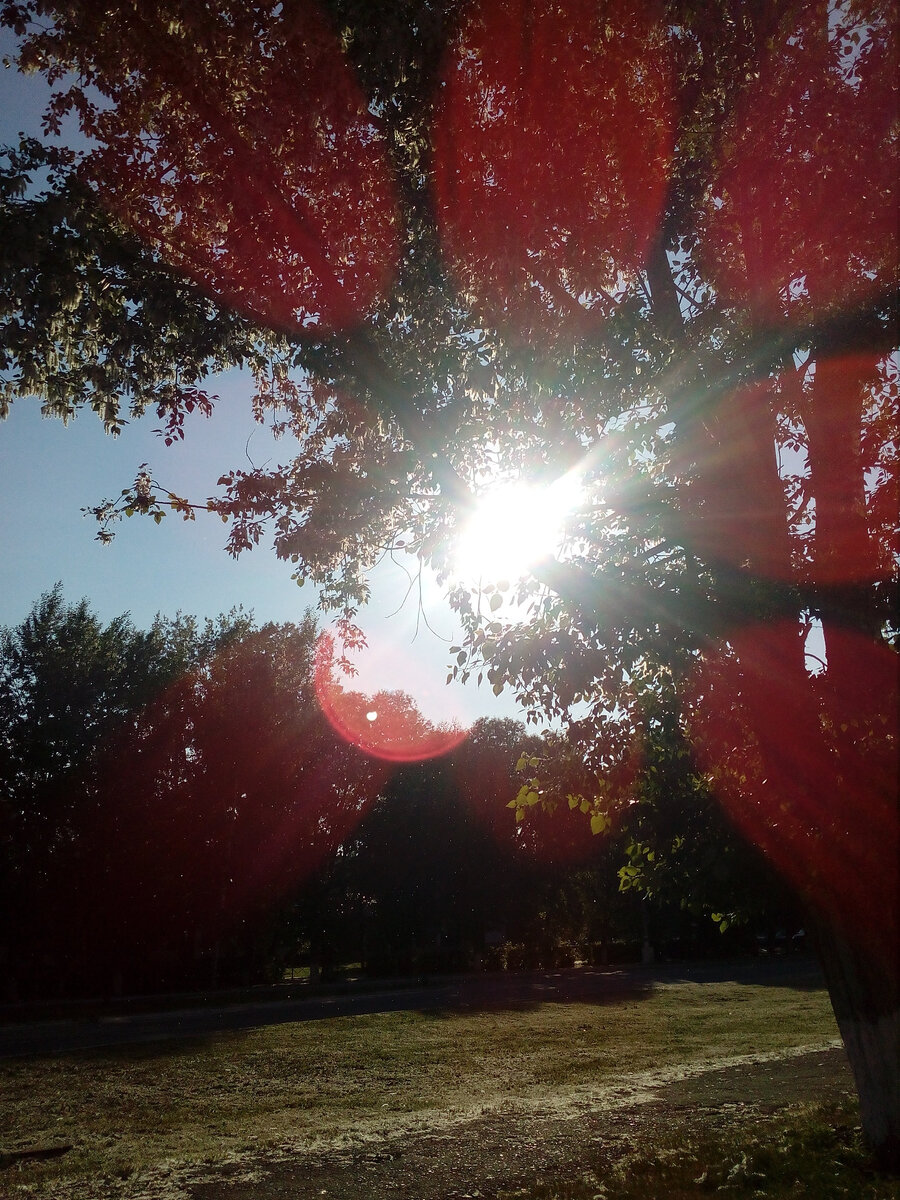 Фото из личного архива