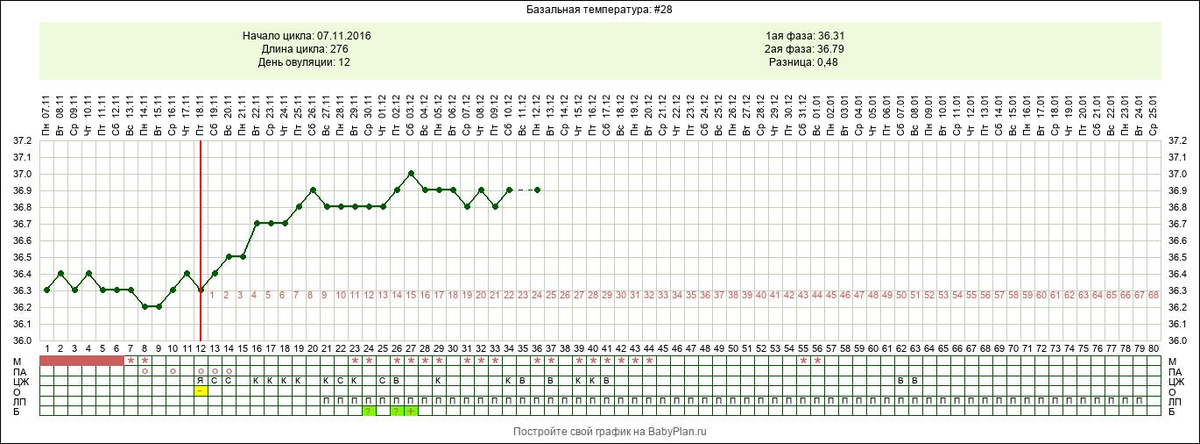 График БТ здоровой беременной женщины