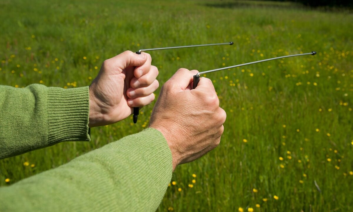 Лозоходство биолокация. Лоза лозоходство. Рудоискательные лозы. Биолокация лоза. Лозоходство.