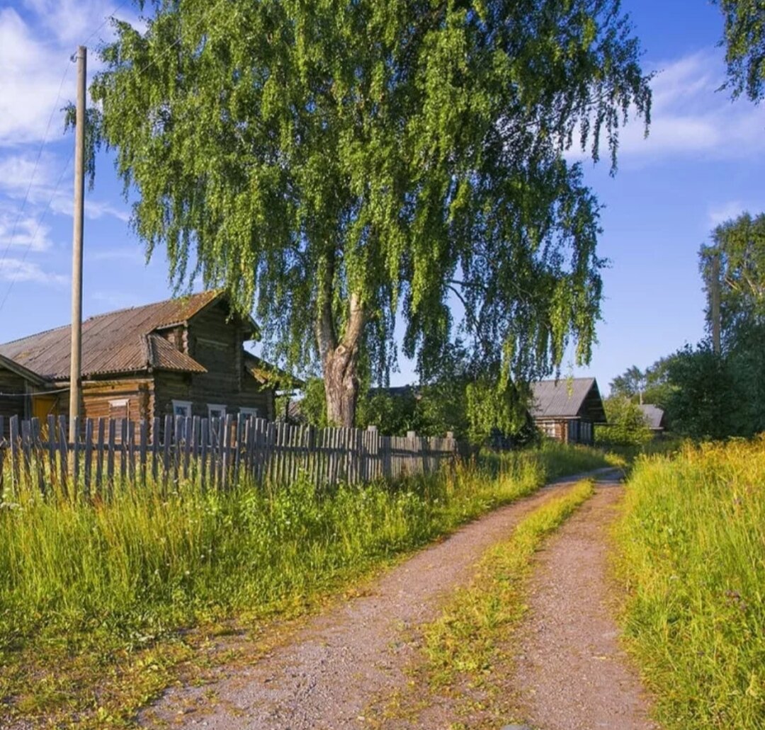 Лето в деревне картинки