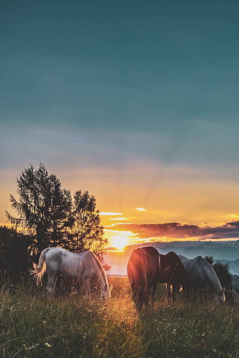 Фото автора eberhard grossgasteiger: Pexels 