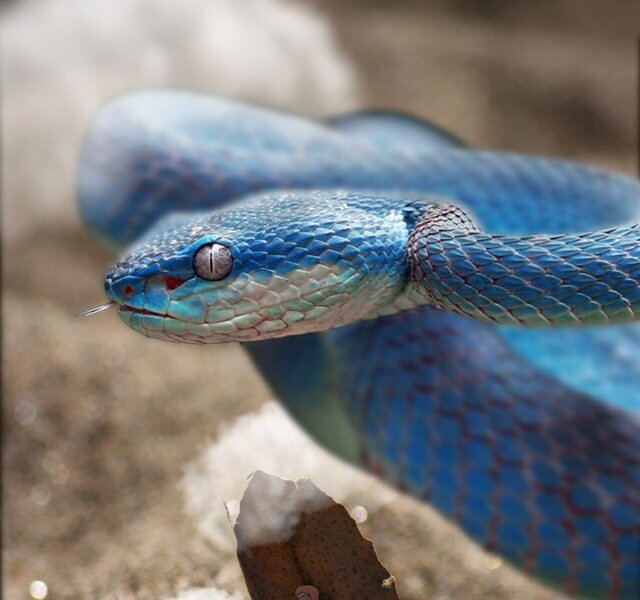  Фото автора raul romagnoli: Pexels
