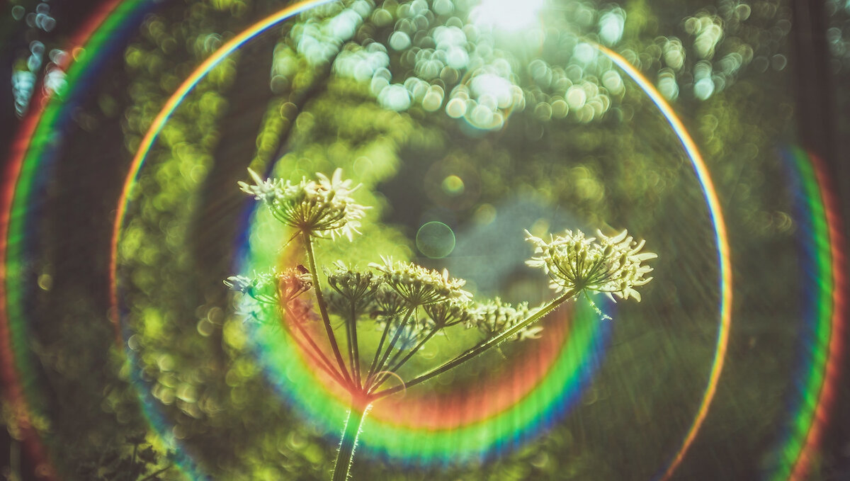 Природа улыбается