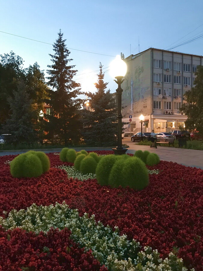 Фото от автора. Летний вечер