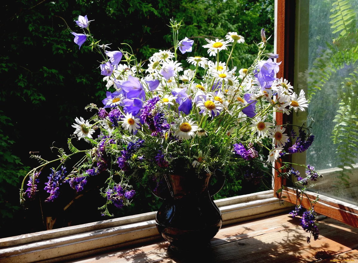 Источник Яндекс Картинки