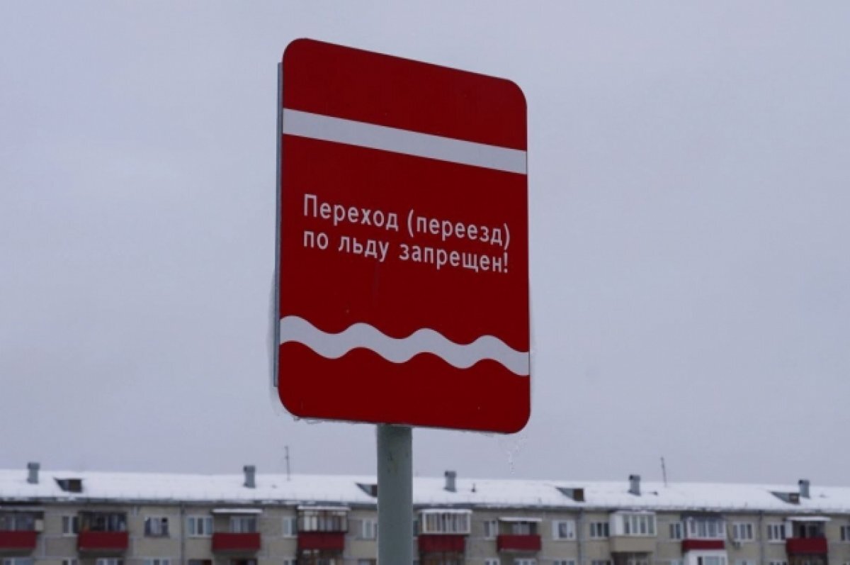    В Тюмени подросток на берегу пруда Утиного провалился по щиколотку