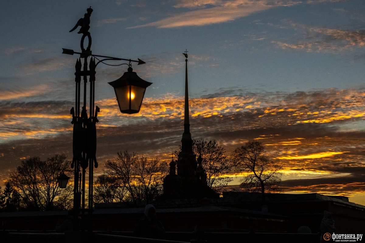   
 Фото: Михаил Огнев/«Фонтанка.ру»/Архив