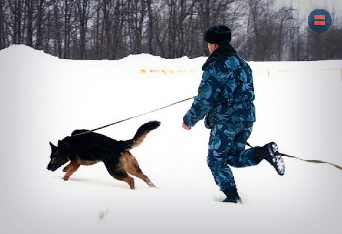 Наказание может быть суровым