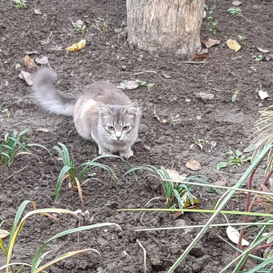 Ещё подождём немного...