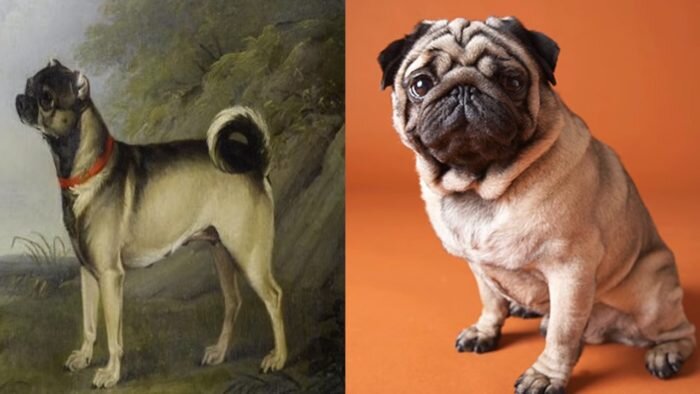 Источник www.storyblocks.com