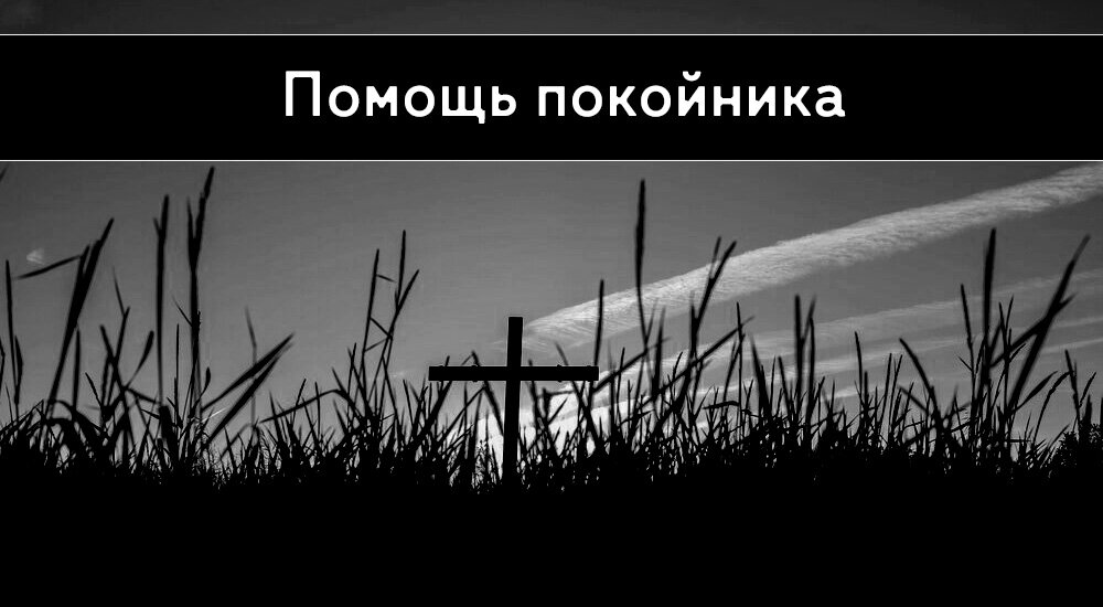 Изображение взято с freepik.com