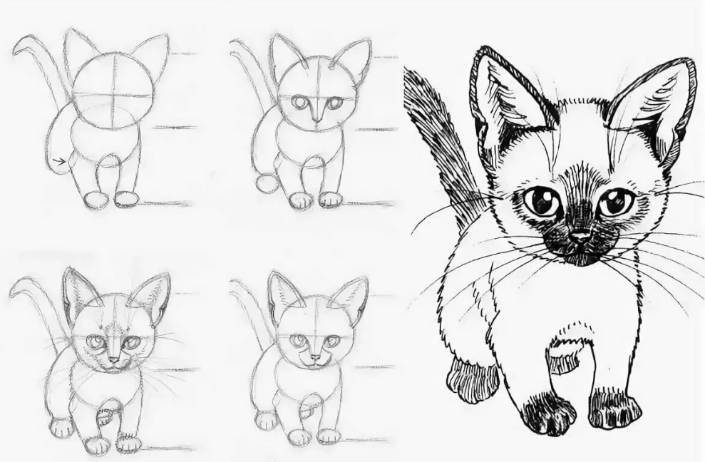 Фотография взята из источника yandex.ru