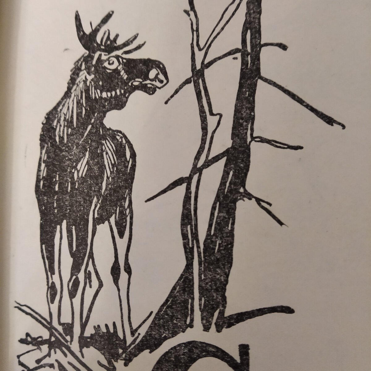 Фото автора статьи