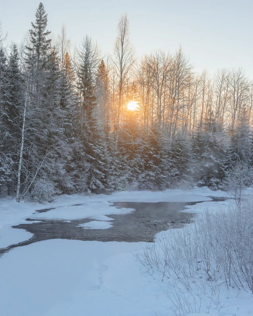 ������ �������