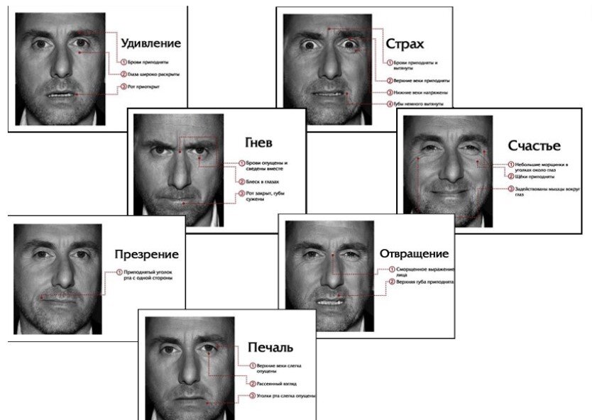 Тим Рот - британский актер, сценарист и режиссер. На фото представлены его мимические портреты эмоций для сериала "Обмани меня"