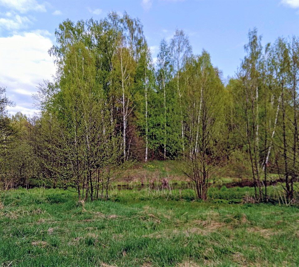 Селецкое городище 9.05.2023