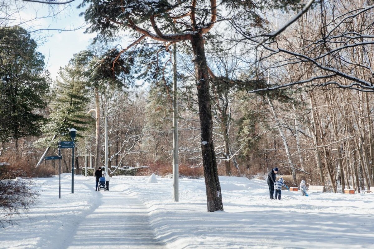 Краснодар в феврале куда сходить. Парк Сокольники. Сокольники. Сквер Московского метро Сокольники. Парк 10 на 10.