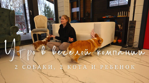 Канал бентли и анжелика