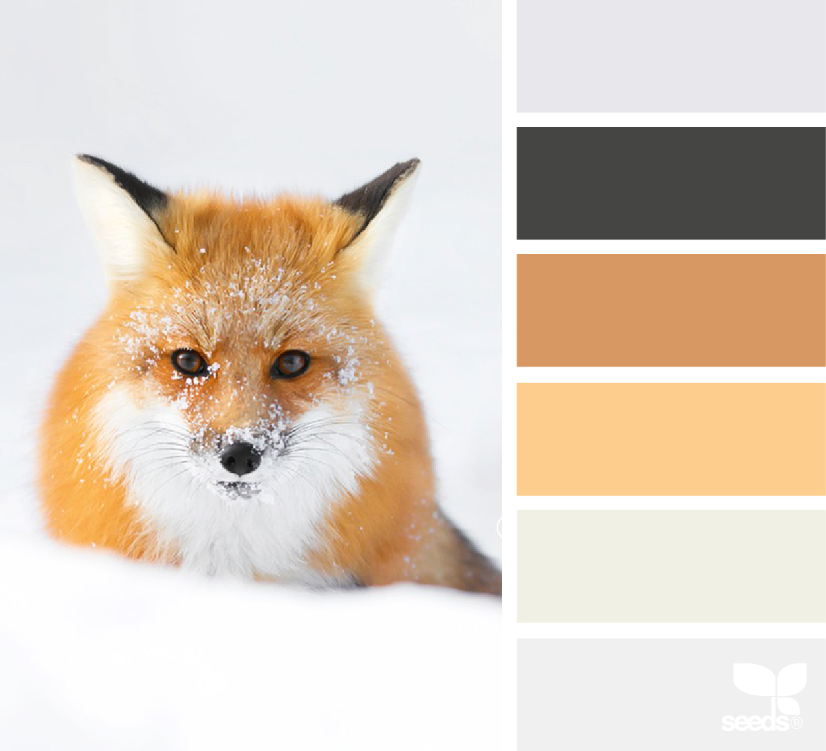 Палитра с просторов интернета