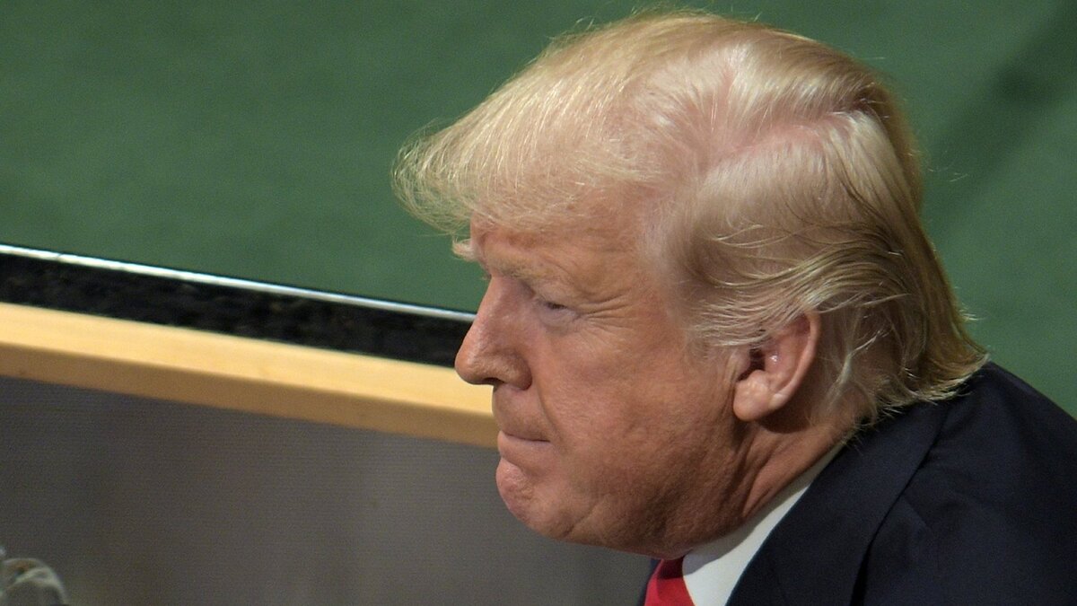    Дональд Трамп© РИА Новости . Роман Махмутов