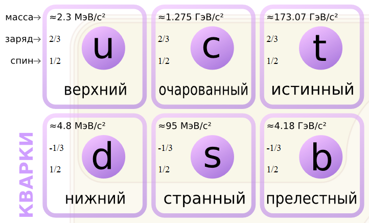 6 типов кварков.