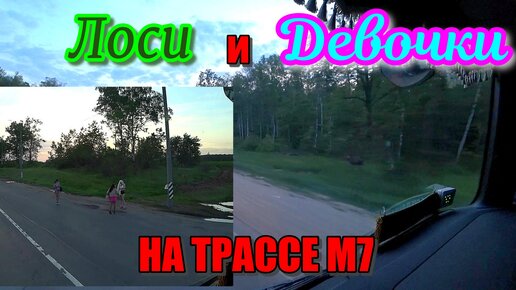 Секс на дороге ( видео). Релевантные порно видео секс на дороге смотреть на ХУЯМБА