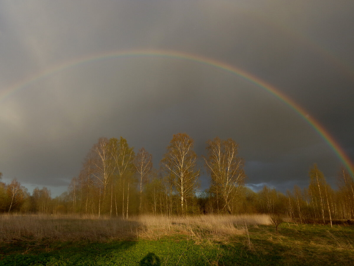 Красота природы