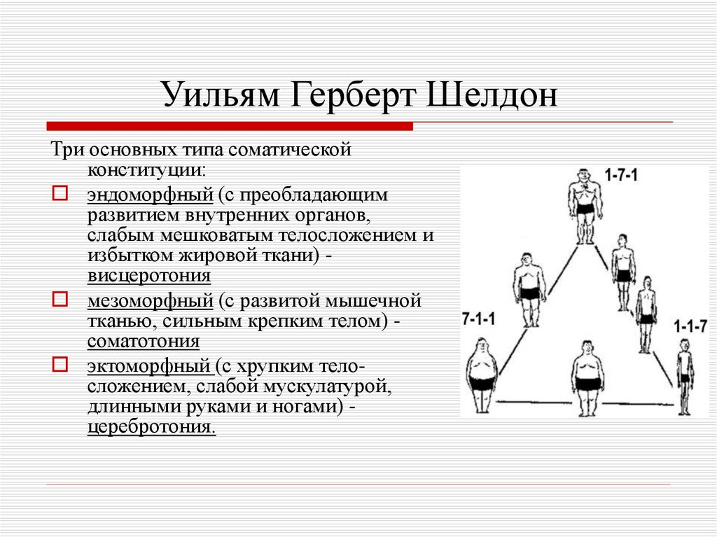 Типы темперамента по шелдону
