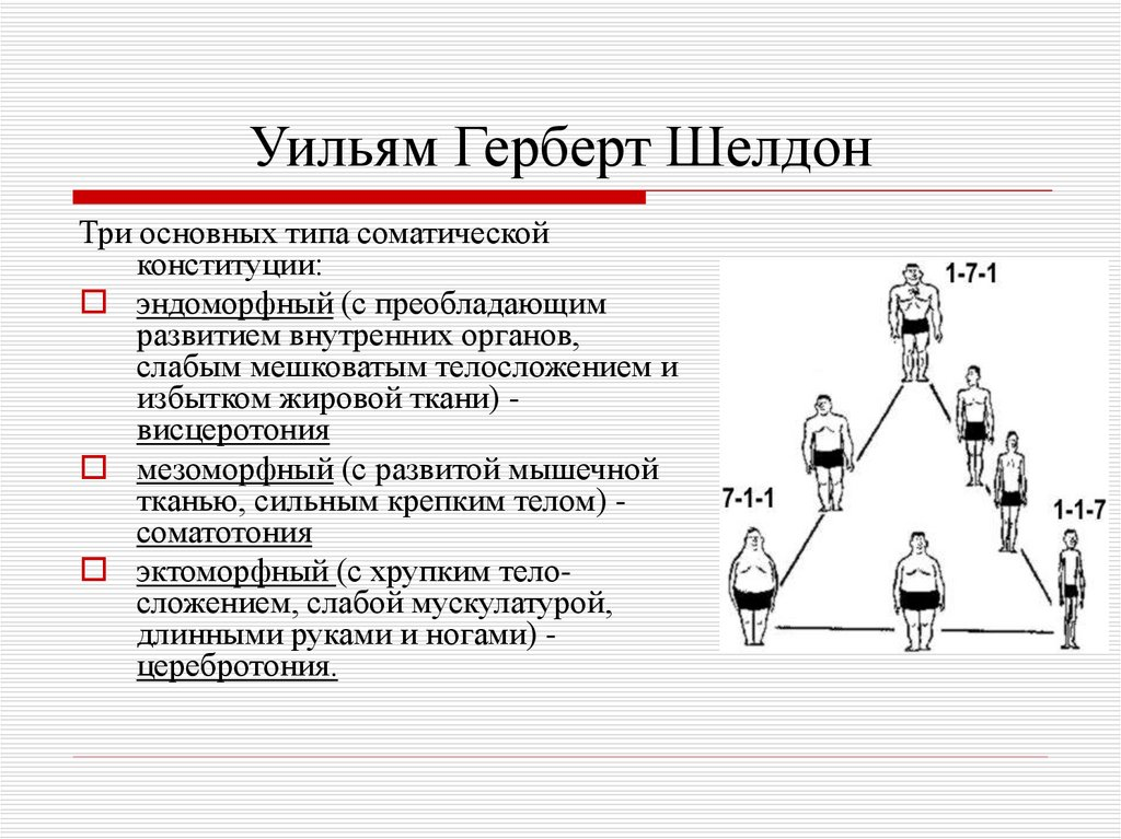 Теория Уильяма Шелдона. Строение, темперамент и тип человека.