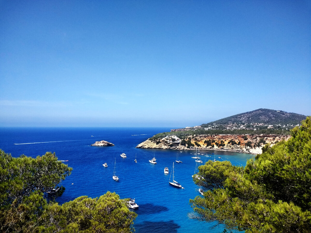 Фото: https://ru.freepik.com/free-photo/shot-of-sunny-weather-in-the-coast-near-ibiza-full-of-boats_9852857.htm#query=%D0%B8%D0%B1%D0%B8%D1%86%D0%B0&position=0&from_view=search&track=sph