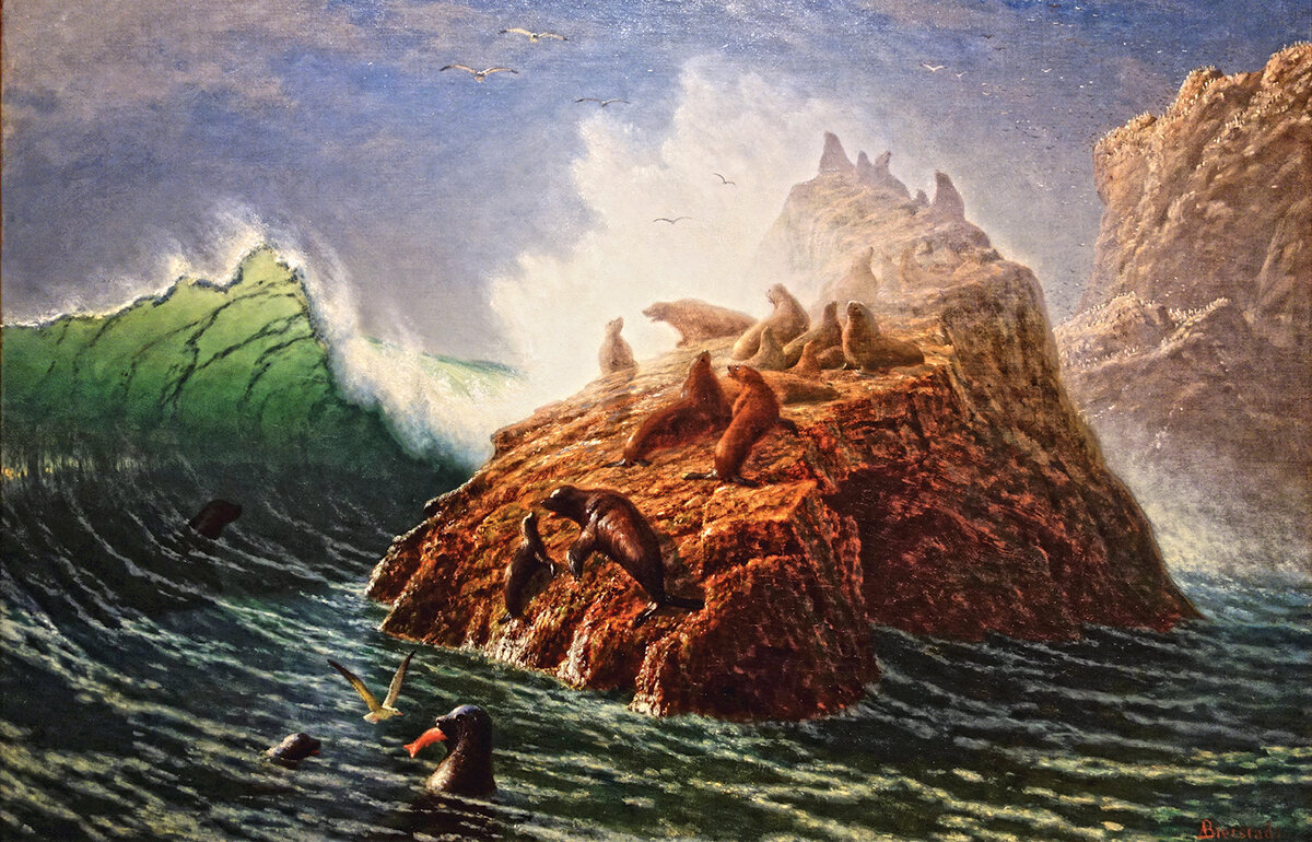 Тюлени на скалах Фараллоновых островов. Картина художника А. Бирштадта