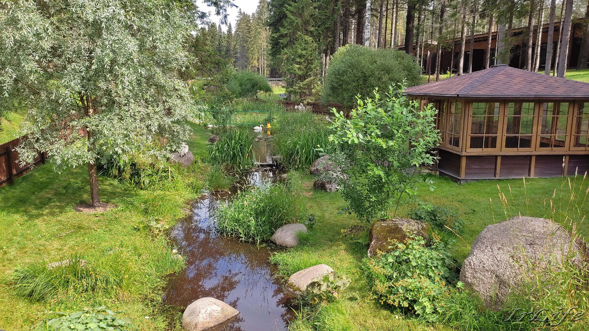 Заоопространство. 