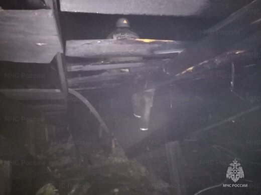    На пожаре в Саракташском районе пострадал пенсионер Кристина Просвиркина