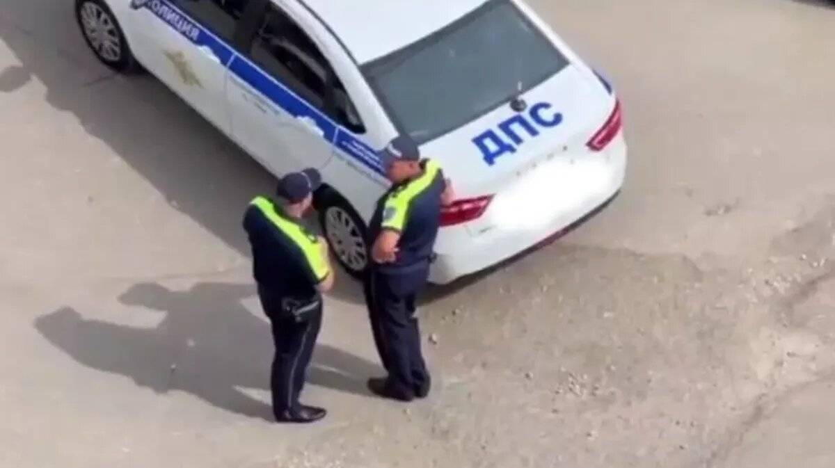 Фото: кадр из видео