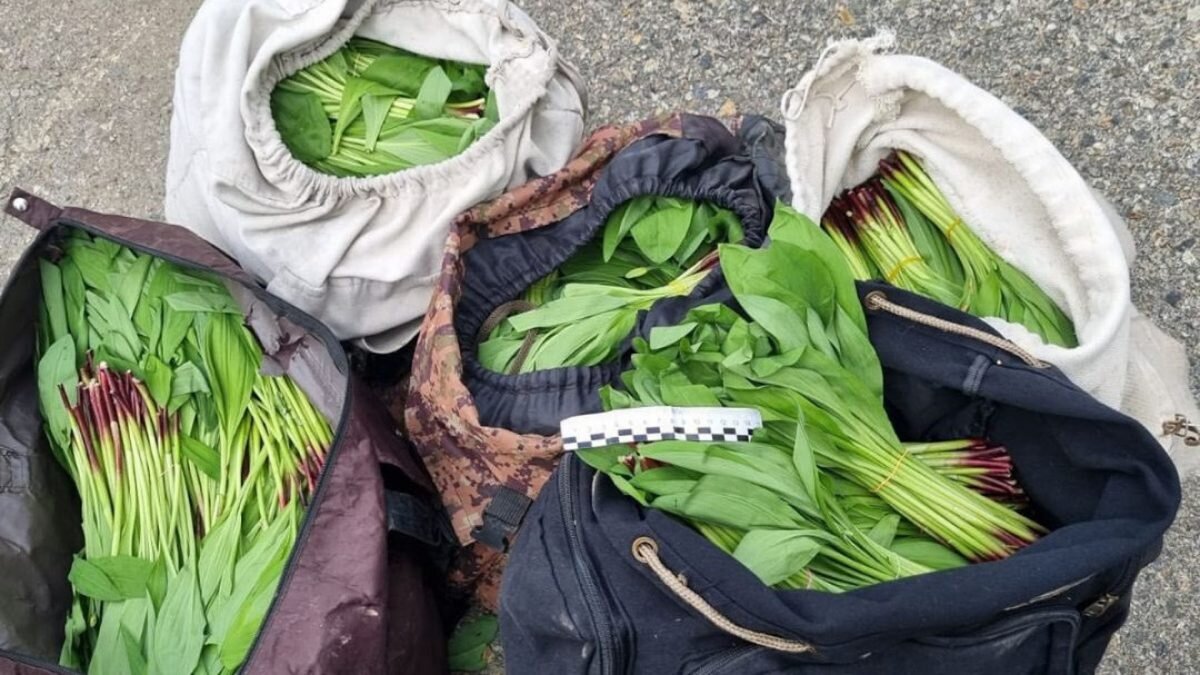    Фото: instagram.com/eastkazpolice Август Макаров