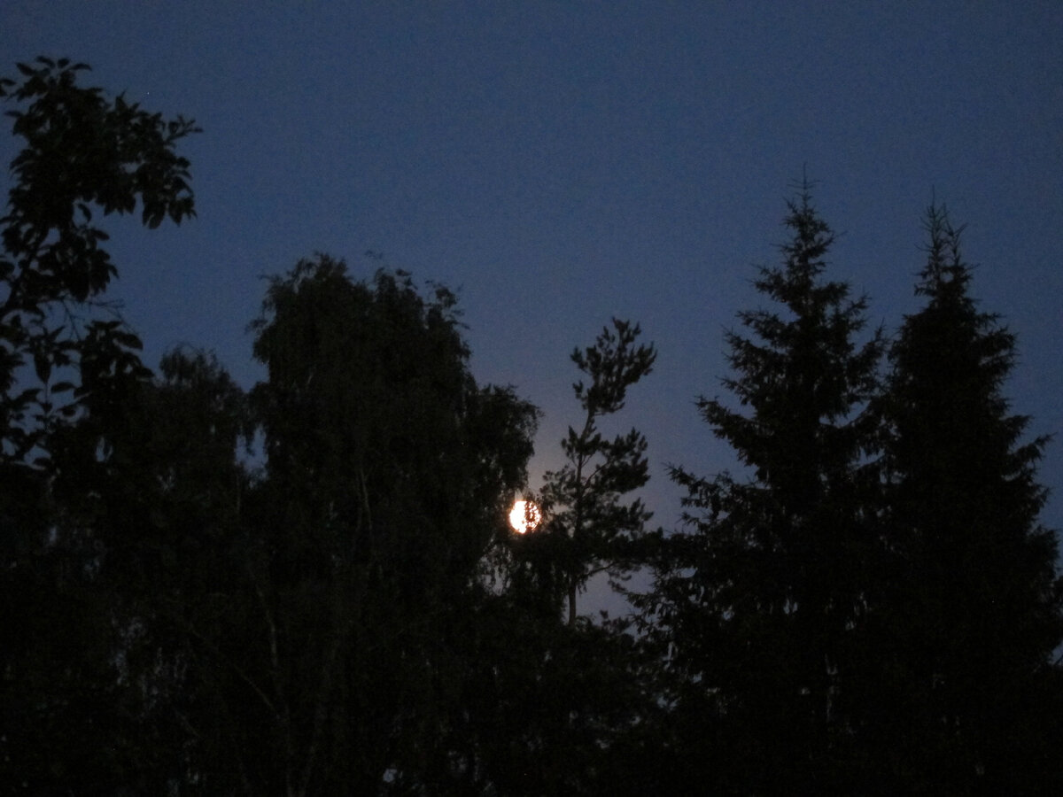 Лунная ночь, фото из личного архива