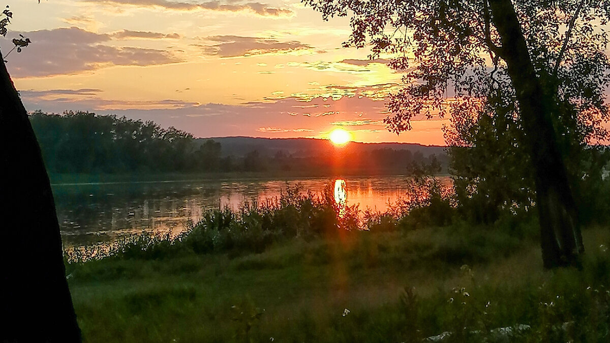 Фото влагалища