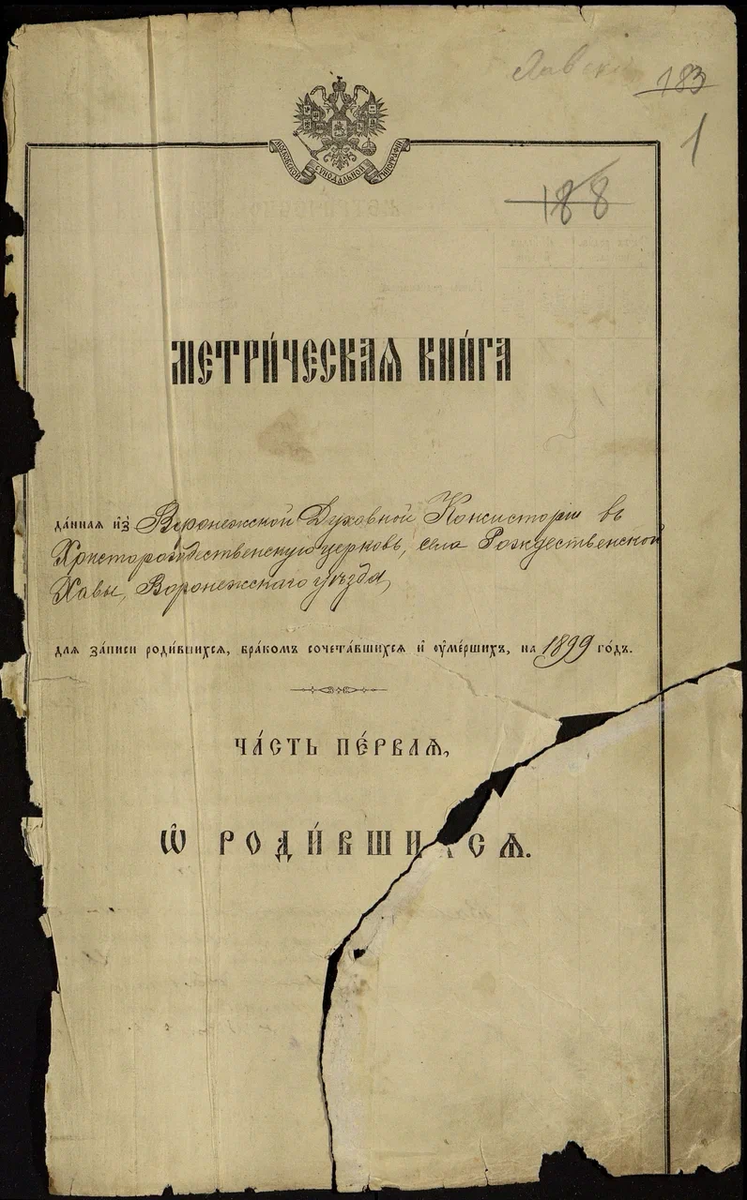 Титульный лист метрической книги села Рождественской Хавы за 1899 год