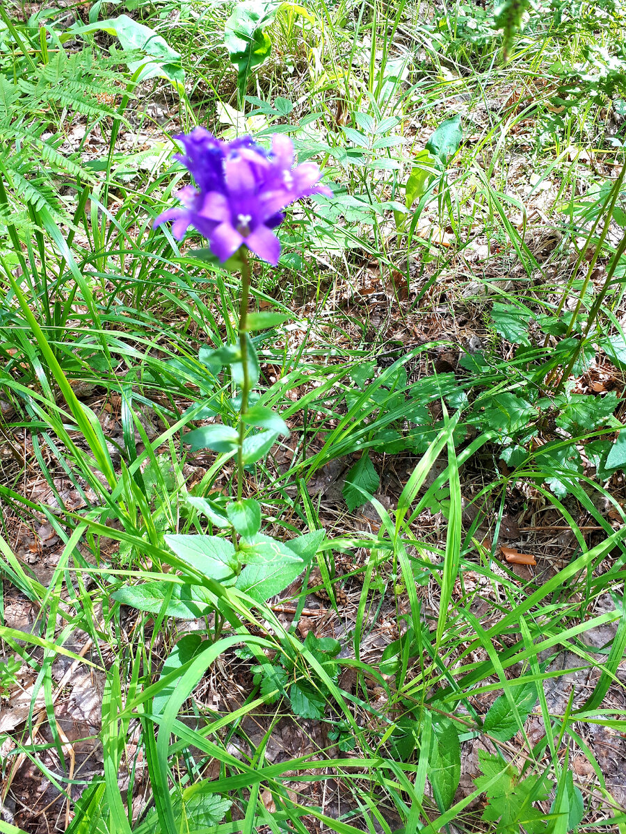 Источник: фотографии автора