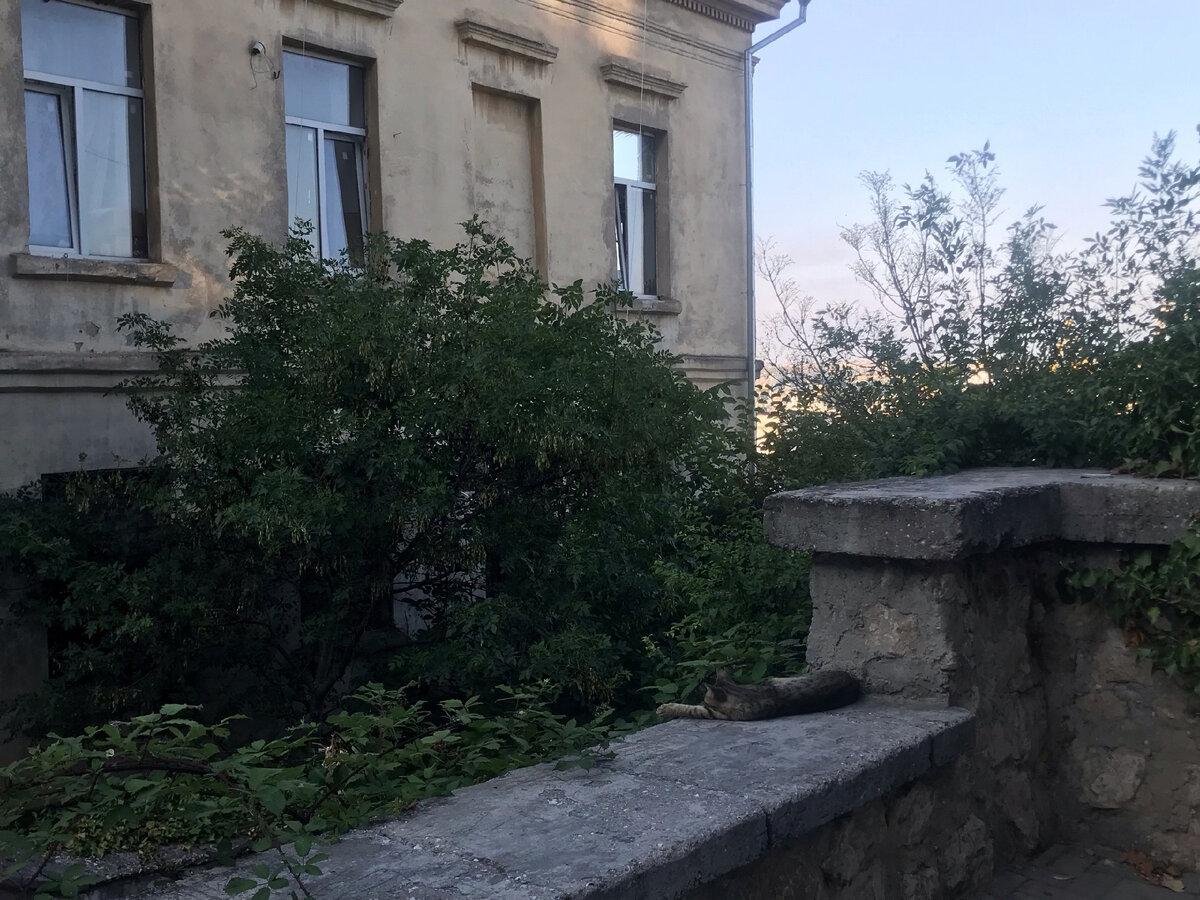 Старый фонд 