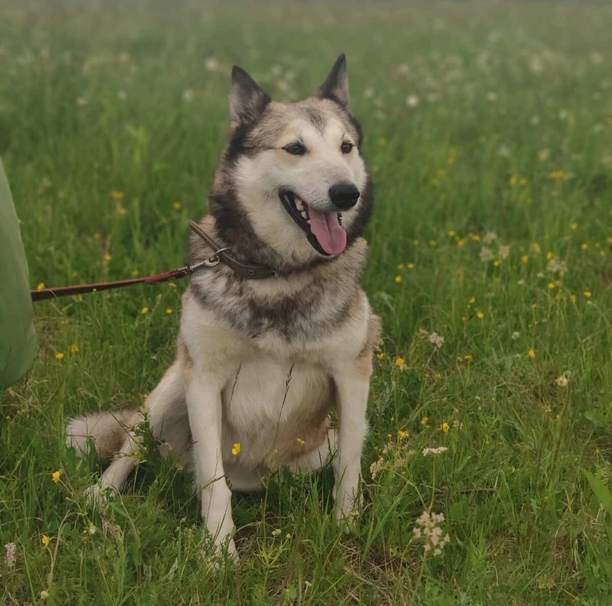 Красива. Глаз не  отвести.