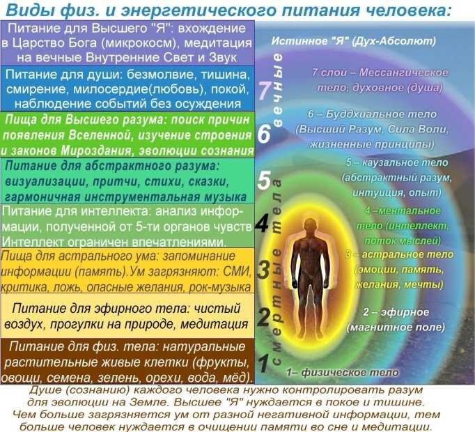 Через сколько душа. Астральное тело человека астральное тело человека. Тонкие тела человека. Ментальное тело. Эфирное астральное ментальное тело.